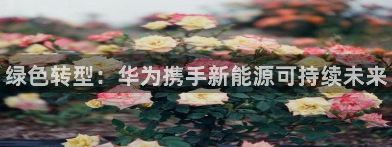 新宝彩票gg:绿色转型:华为携手新能源可持续未来