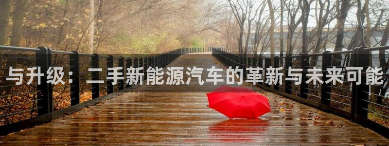 新宝gg登录注册:与升级:二手新能源汽车的革新与未来可能