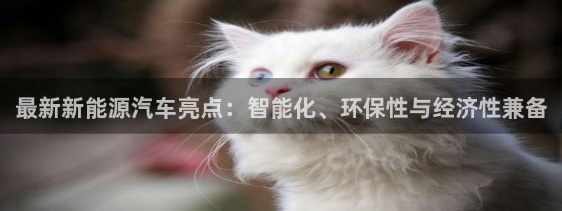 新宝GG网址新宝2:最新新能源汽车亮点:智能化、环保性与经济