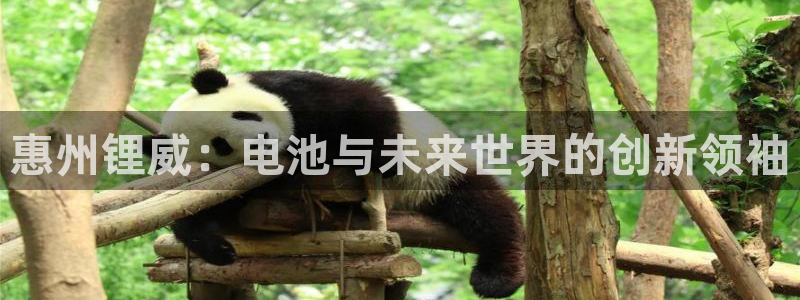 新宝gg跟新宝5:惠州锂威:电池与未来世界的创新领袖