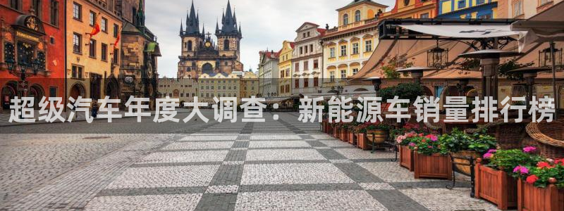 新宝gg至55312:超级汽车年度大调查:新能源车销量排行榜