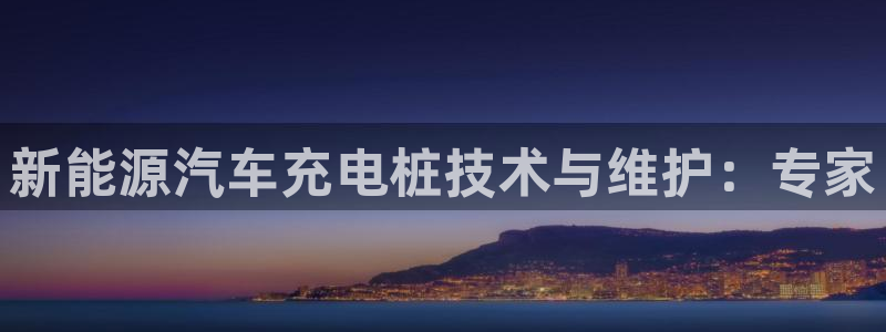 新宝GG玩家：新能源汽车充电桩技术与维护