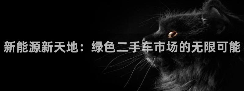 新宝gg帐号注册：新能源新天地：绿色二手