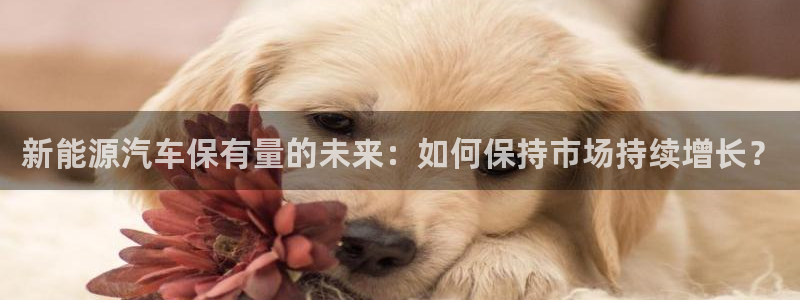 新宝GG亚洲：新能源汽车保有量的未来：如