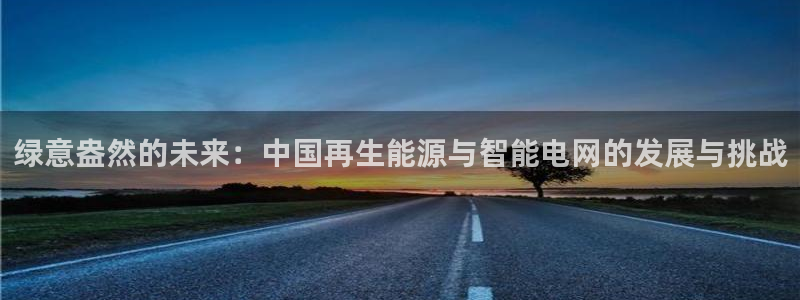 新宝5和新宝gg：绿意盎然的未来：中国再