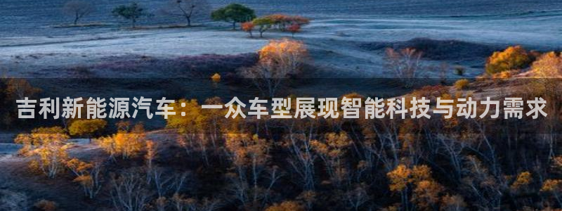新宝gg官网:吉利新能源汽车:一众车型展现智能科技与动力需求