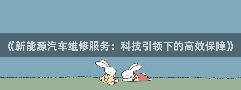 www.新宝gg:《新能源汽车维修服务:科技引领下的高效保障