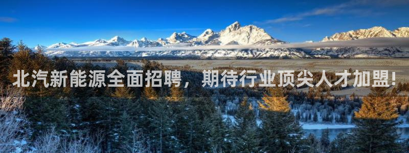 新宝gg盈亏:北汽新能源全面招聘,期待行业顶尖人才加盟!