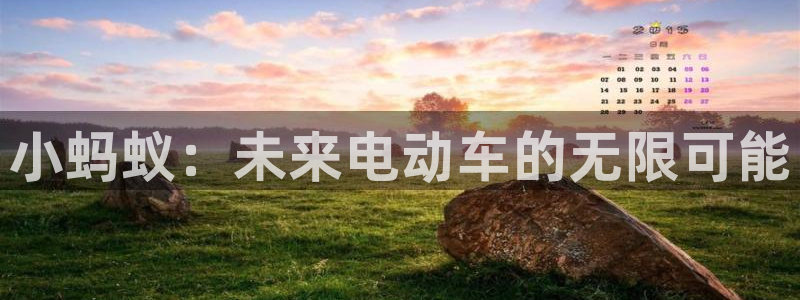 新宝gg招商:小蚂蚁:未来电动车的无限可能