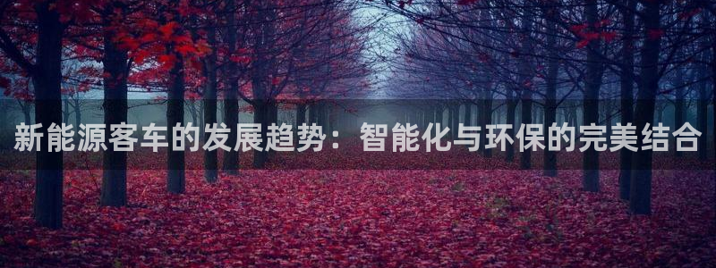 新宝时gg:新能源客车的发展趋势:智能化与环保的完美结合