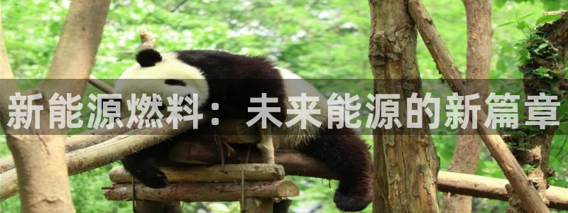 新宝gg娱乐首页:新能源燃料:未来能源的新篇章