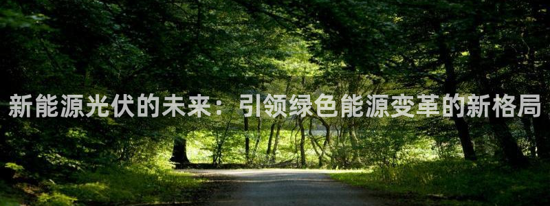 新宝GG国际:新能源光伏的未来:引领绿色能源变革的新格局