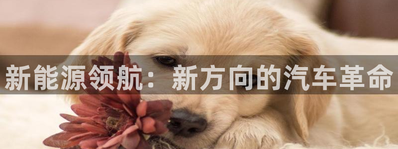 新宝gg官网:新能源领航:新方向的汽车革命