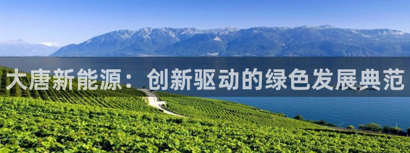 新宝gg代理条件：大唐新能源：创新驱动的