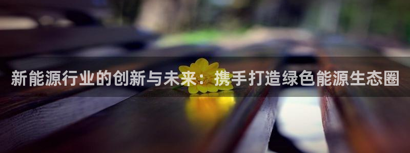 新宝gg dx-gg.cn:新能源行业的创新与未来:携手打造