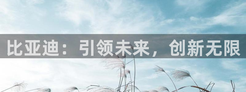 新宝gg返点模式：比亚迪：引领未来，创新