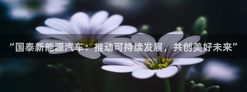 新宝gg找回账号:“国泰新能源汽车:推动可持续发展,共创美好