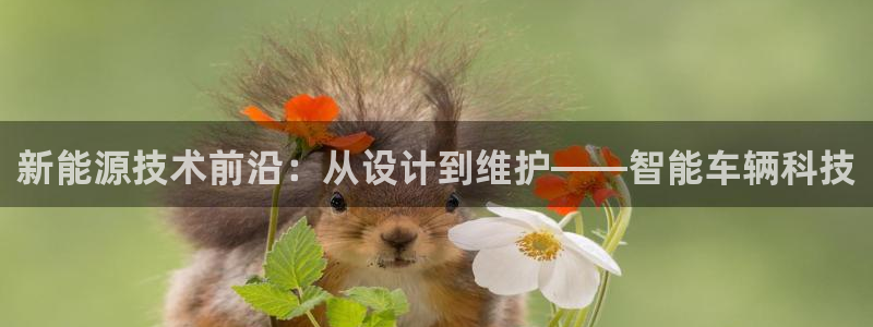 新宝gg 平台怎么样