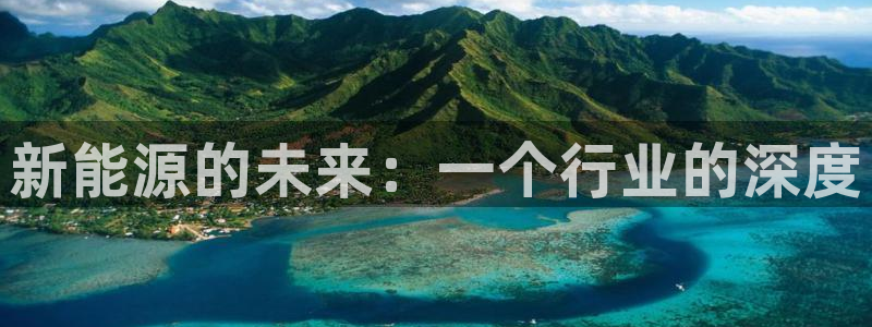 新宝GG傲78778：新能源的未来：一个