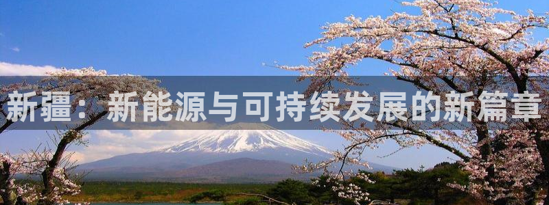 新宝gg提点：新疆：新能源与可持续发展的