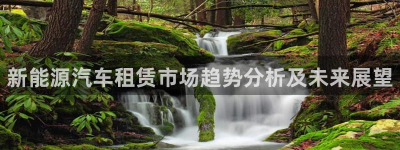 关于新宝GG：新能源汽车租赁市场趋势分析