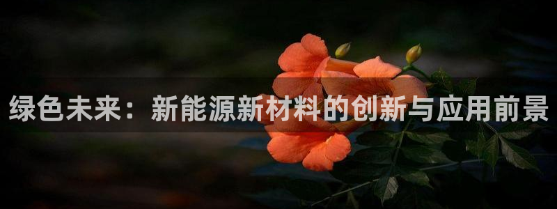 新宝gg平台连接：绿色未来：新能源新材料