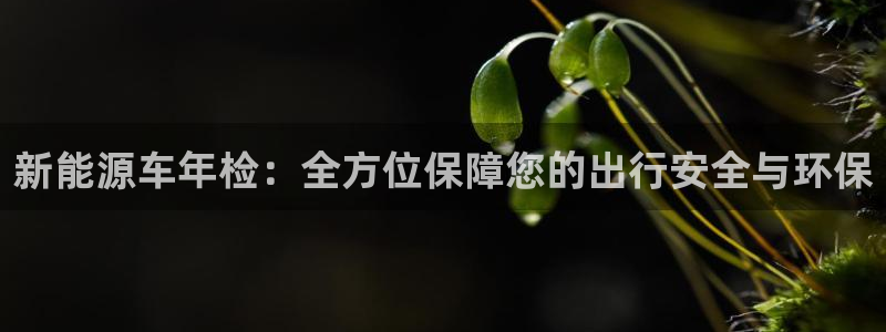 新宝时gg：新能源车年检：全方位保障您的
