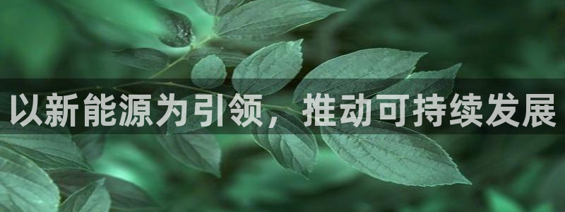 新宝gg客户登录：以新能源为引领，推动可