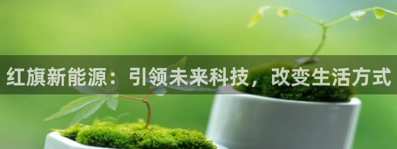 新宝gg运营88383：红旗新能源：引领