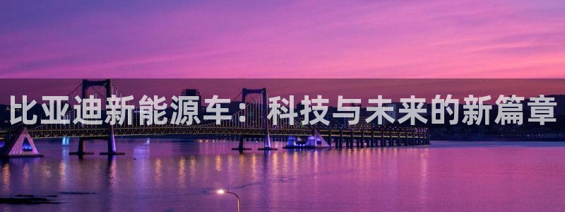 109新宝gg：比亚迪新能源车：科技与未