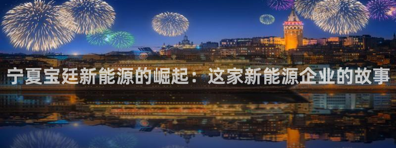 新宝GG都有哪些计划：宁夏宝廷新能源的崛