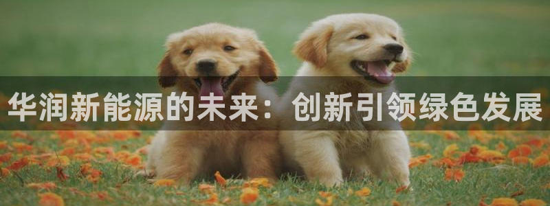 新宝gg(52360)：华润新能源的未来