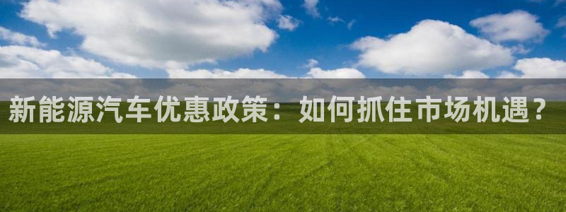 新宝gg怎样：新能源汽车优惠政策：如何抓
