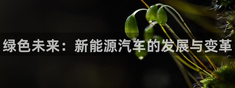 新宝gg(52360)：绿色未来：新能源