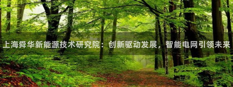 创造奇迹 新宝gg：上海舜华新能源技术研