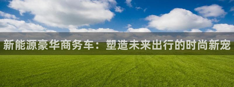 新宝Gg测速地址：新能源豪华商务车：塑造