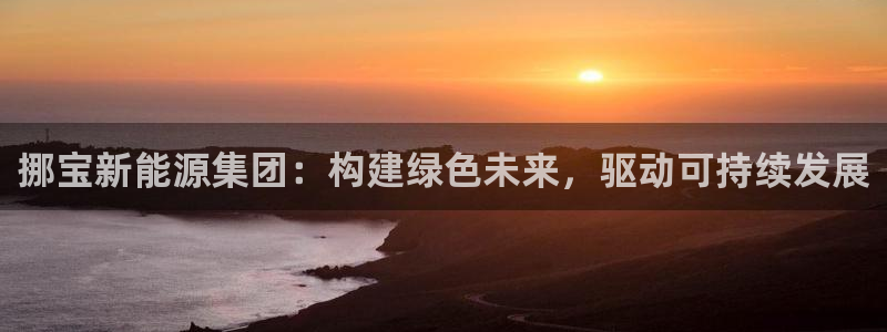 新宝gg_：挪宝新能源集团：构建绿色未来