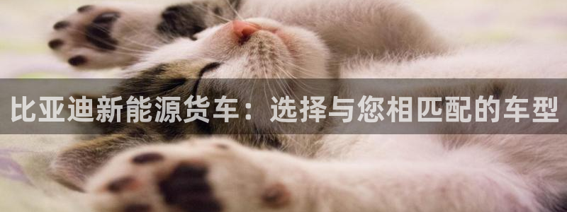 新宝GG的老板：比亚迪新能源货车：选择与