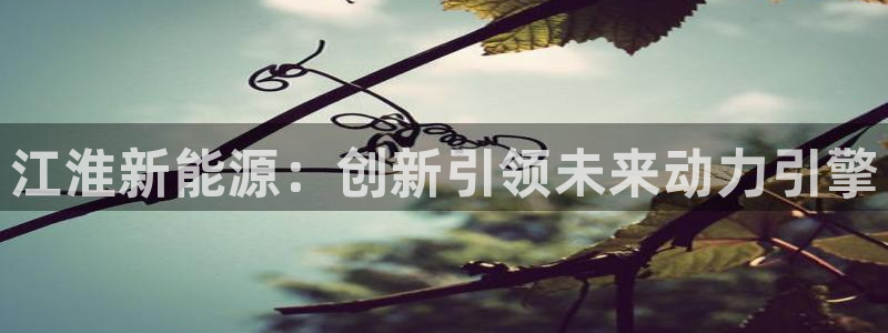 新宝gg试玩：江淮新能源：创新引领未来动