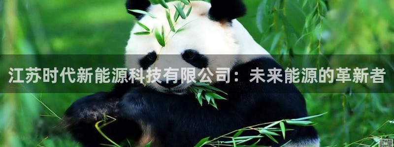 新宝gg 登陆：江苏时代新能源科技有限公